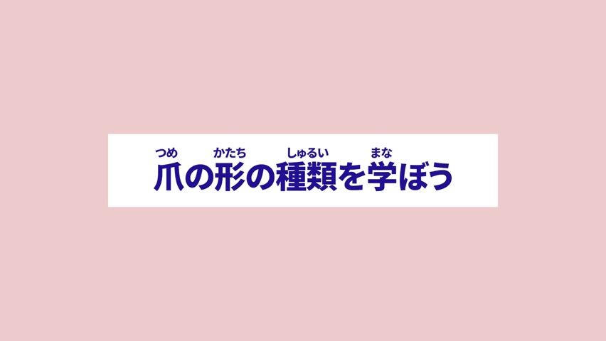 爪の形の種類を学ぼう